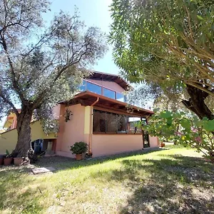 L' Antico Ulivo , Iglesias Italia